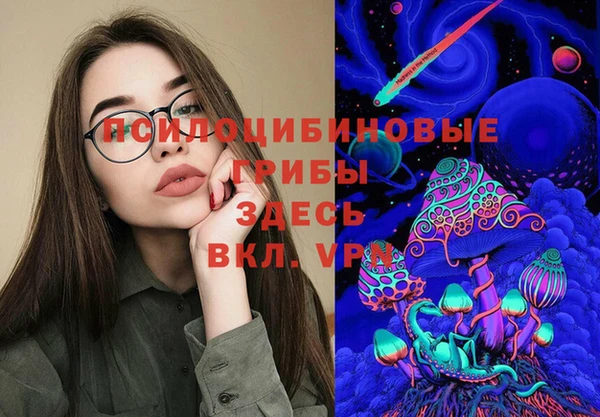 apvp Верхний Тагил