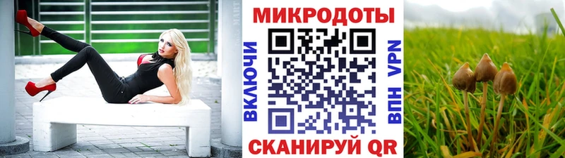 Галлюциногенные грибы прущие грибы  Купить закладки  Нерехта 